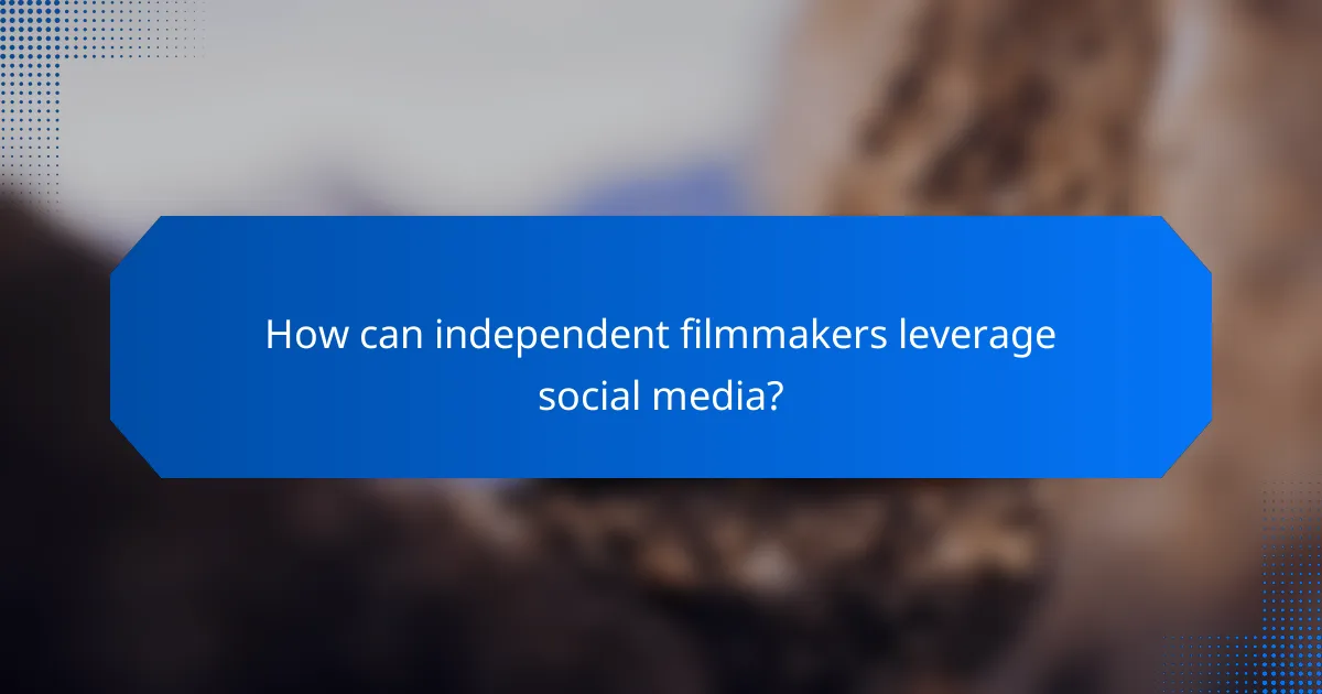 How can independent filmmakers leverage social media?