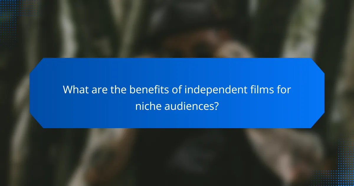 What are the benefits of independent films for niche audiences?
