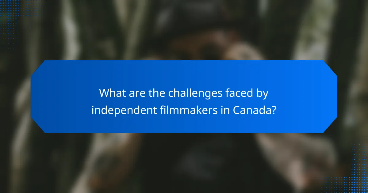 What are the challenges faced by independent filmmakers in Canada?