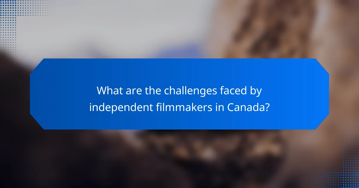 What are the challenges faced by independent filmmakers in Canada?