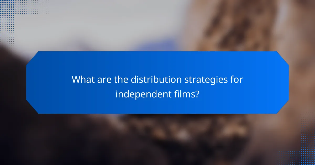 What are the distribution strategies for independent films?