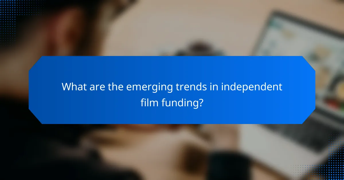 What are the emerging trends in independent film funding?