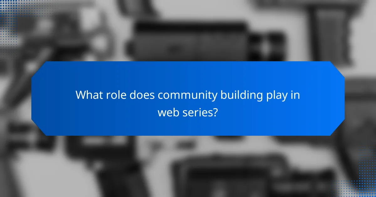 What role does community building play in web series?